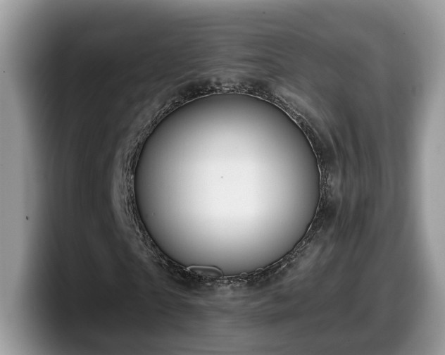 X0000099960865200805301312