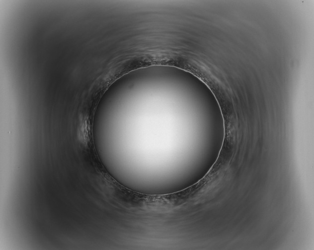 X0000099960866200805301312
