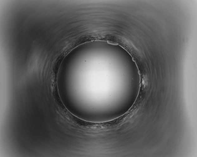 X0000099960867200805301312