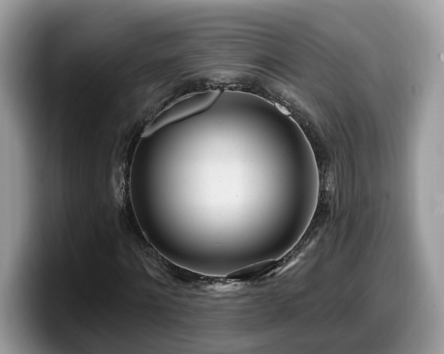 X0000099960868200805301312