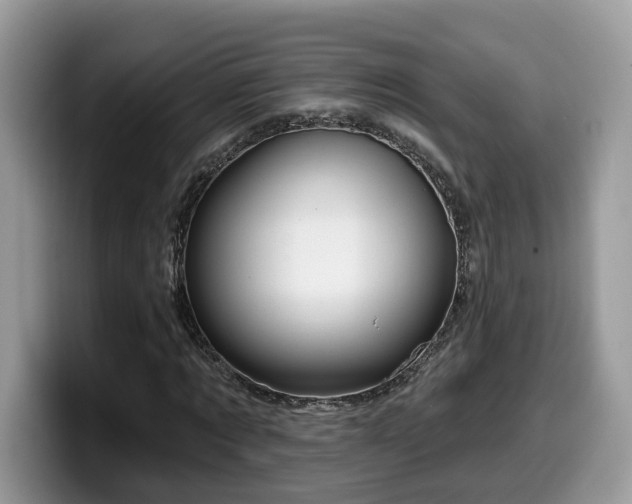 X0000099960869200805301312