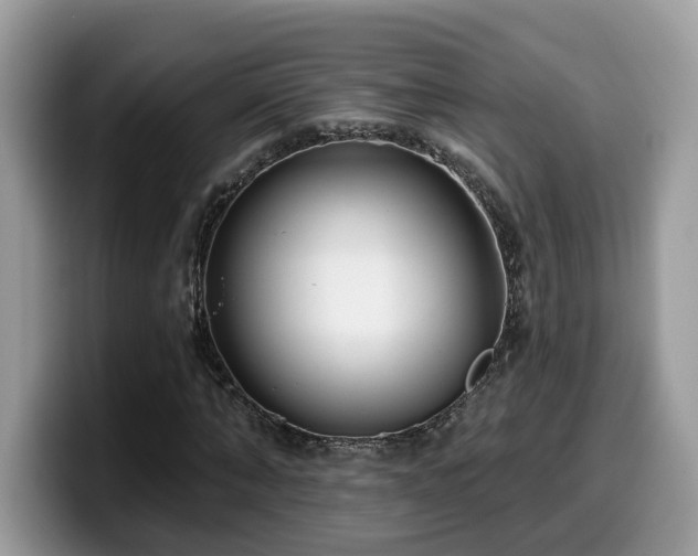X0000099960870200805301312