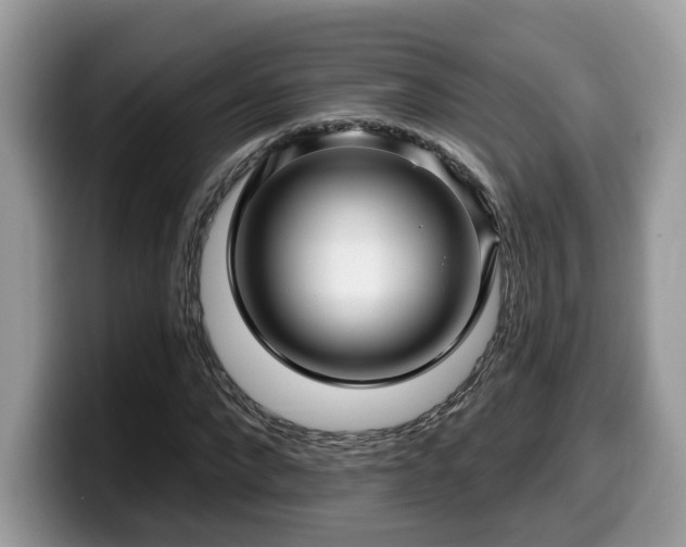 X0000099960872200805301312