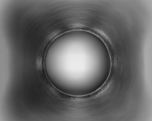 X0000099960873200805301312