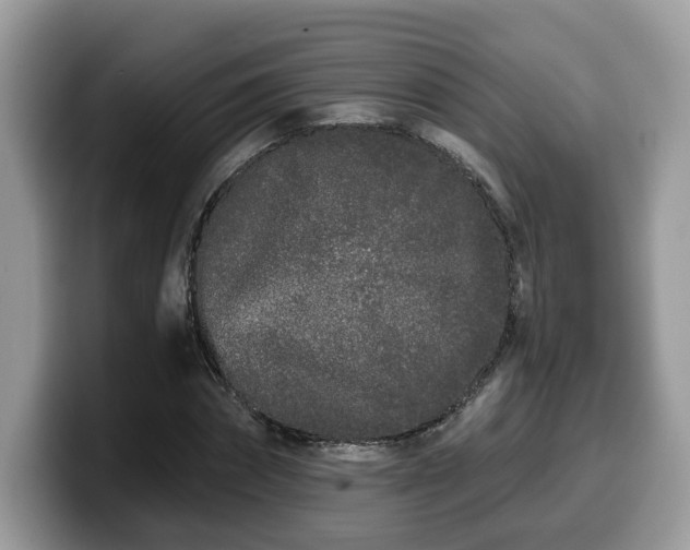 X0000099960874200805301312