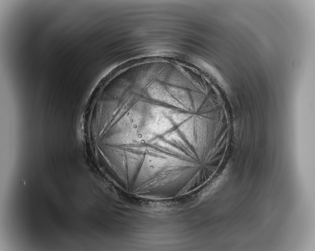 X0000099960875200805301312