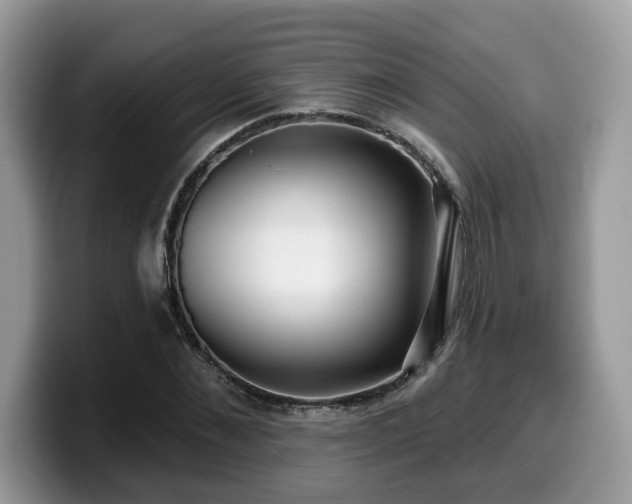 X0000099960876200805301312