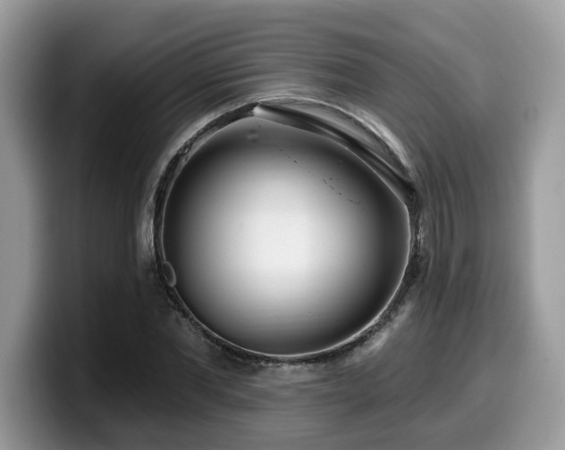 X0000099960877200805301312