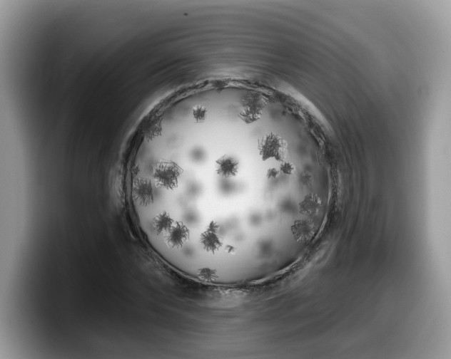X0000099960878200805301312