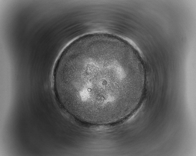 X0000099960879200805301312