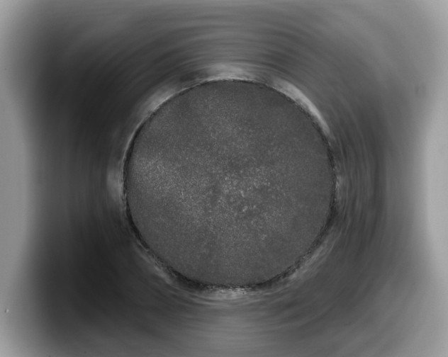 X0000099960882200805301312