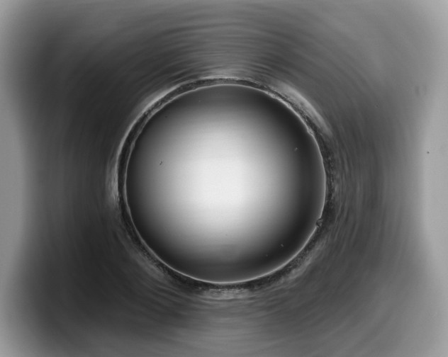 X0000099960884200805301312