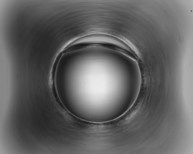 X0000099960885200805301312