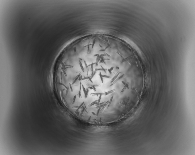 X0000099960886200805301312