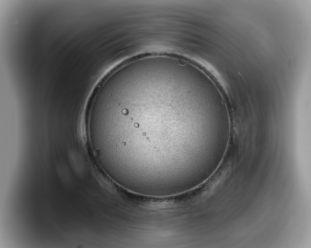 X0000099960887200805301312