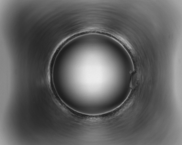 X0000099960888200805301311