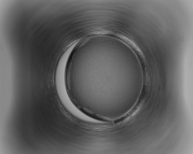 X0000099960889200805301311