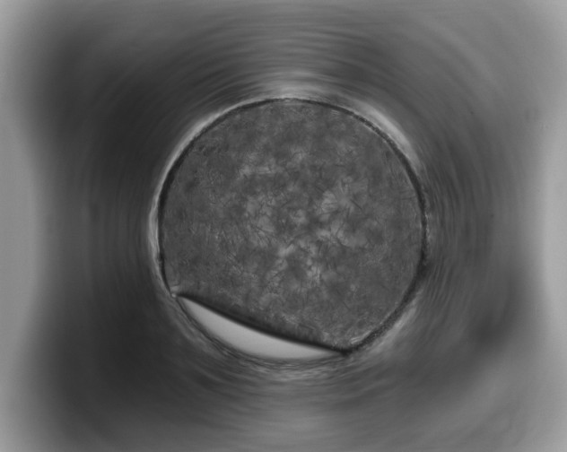 X0000099960891200805301311
