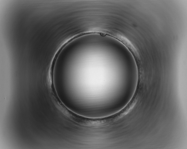 X0000099960892200805301311