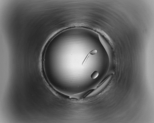 X0000099960894200805301311