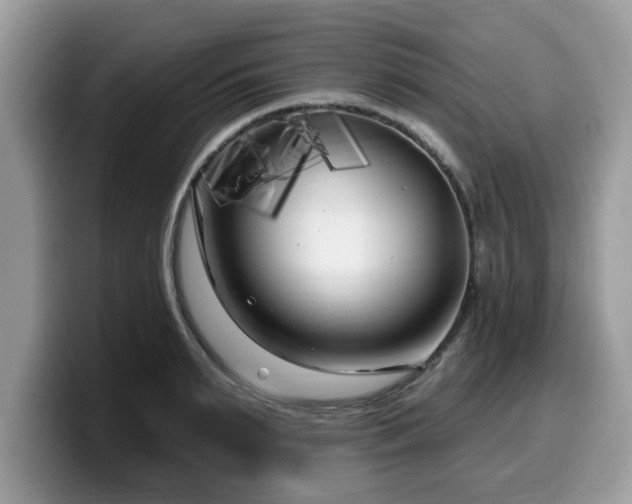 X0000099960895200805301311