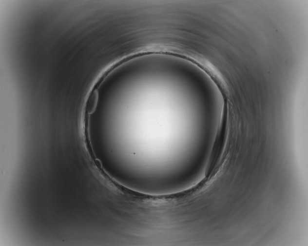 X0000099960896200805301311