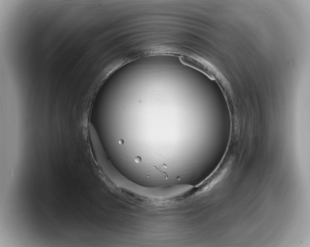 X0000099960897200805301311