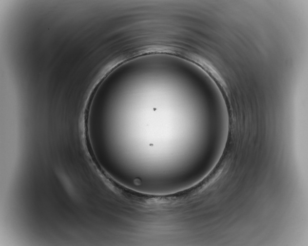 X0000099960898200805301311