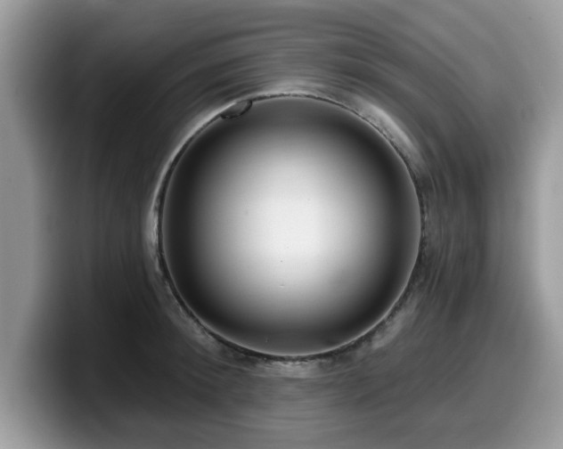 X0000099960900200805301311