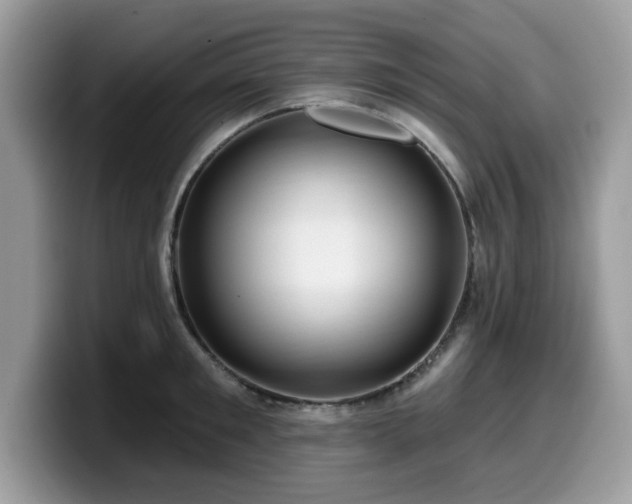 X0000099960901200805301311