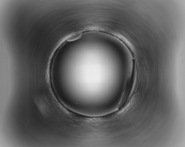 X0000099960902200805301311