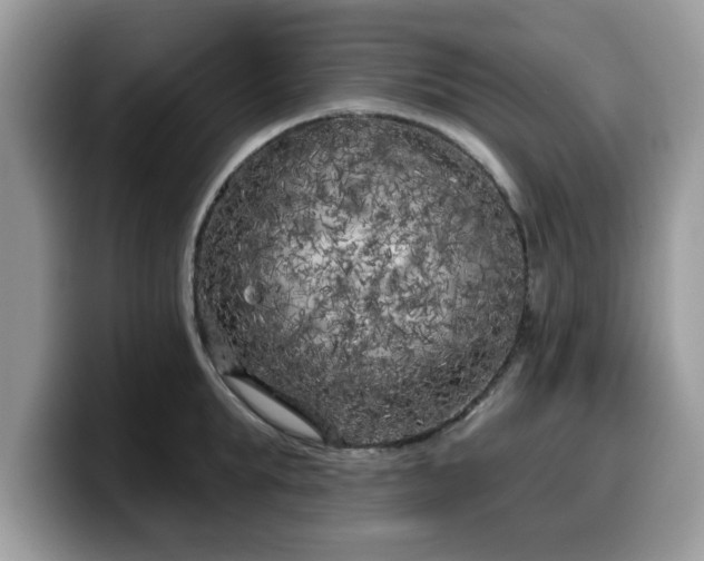 X0000099960903200805301311
