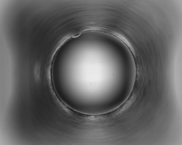 X0000099960906200805301311