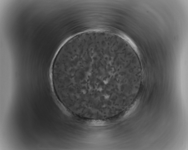 X0000099960907200805301311