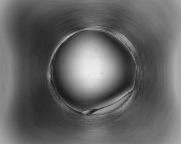 X0000099960908200805301311