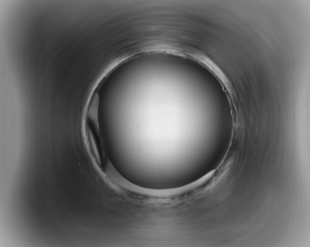 X0000099960909200805301311