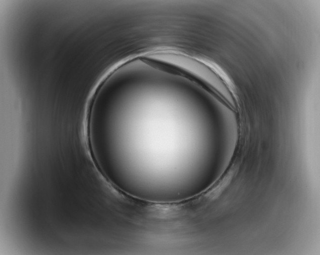 X0000099960910200805301311