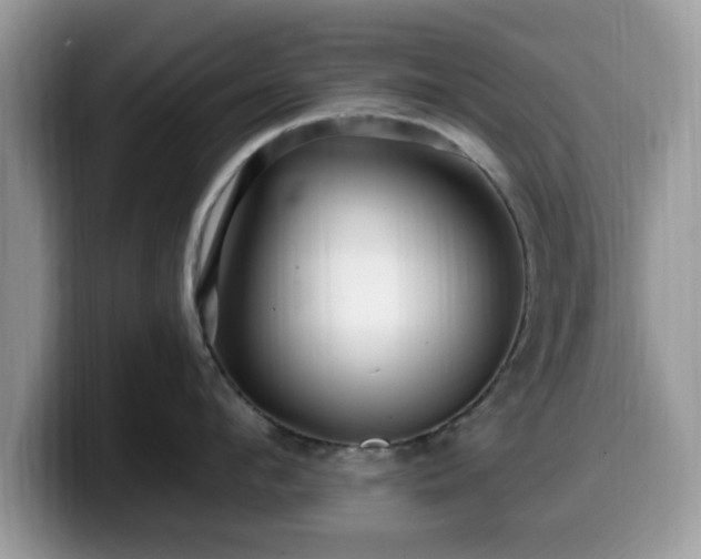 X0000099960912200805301311