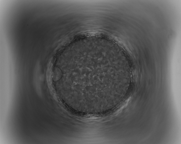 X0000099960913200805301311