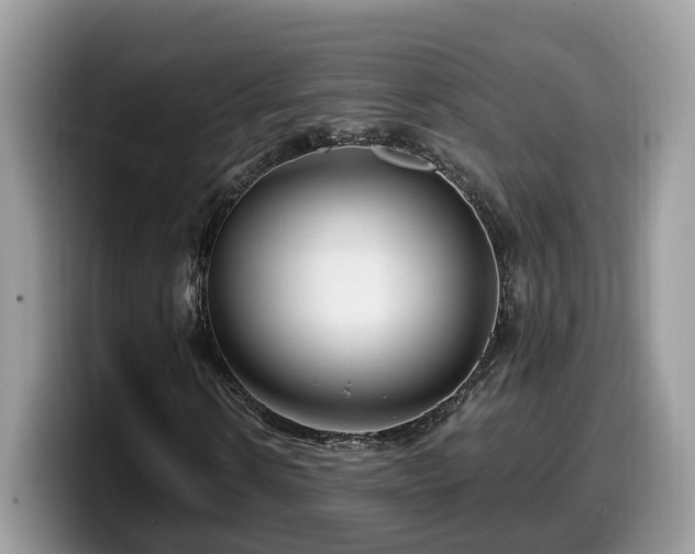 X0000099960914200805301311