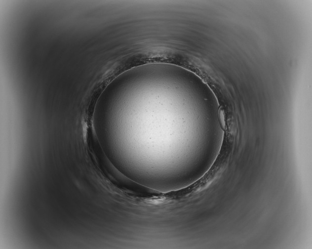 X0000099960916200805301311
