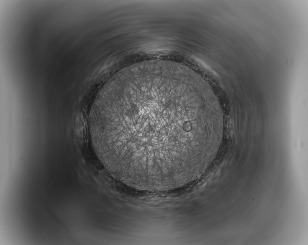 X0000099960917200805301311