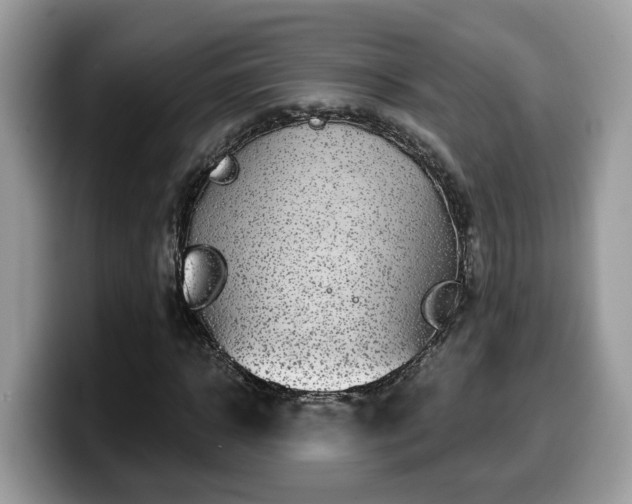 X0000099960918200805301311