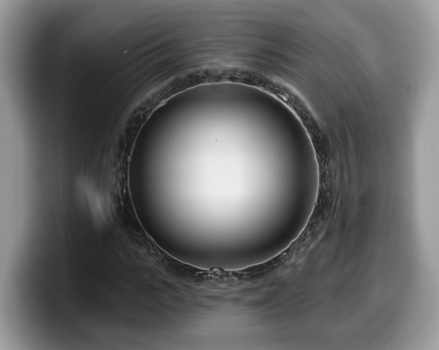 X0000099960919200805301311