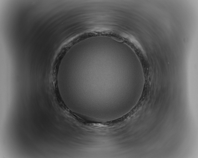 X0000099960920200805301311