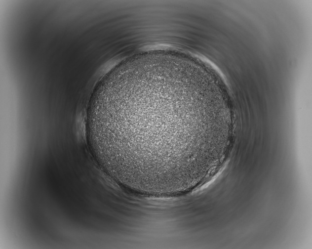 X0000099960921200805301311