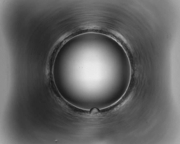 X0000099960922200805301311