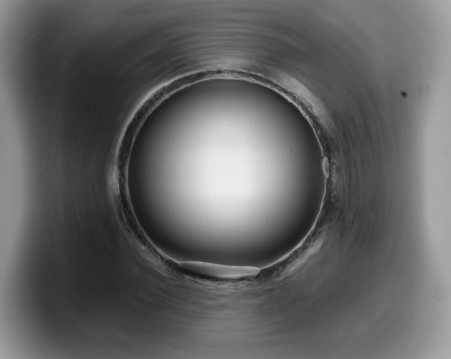 X0000099960924200805301311