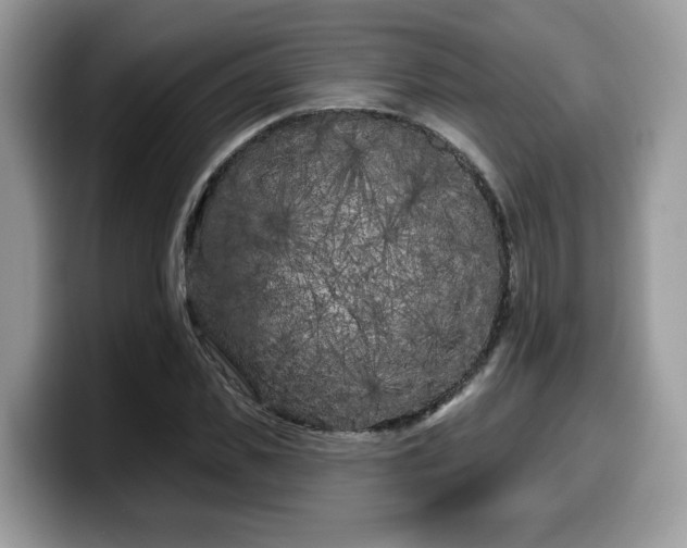 X0000099960925200805301311