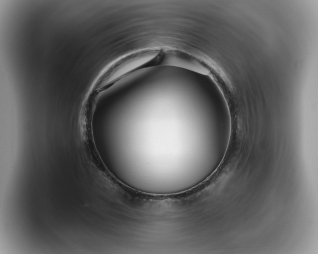 X0000099960926200805301311